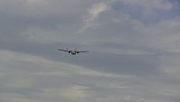 Click image for larger version

Name:	smmac warbirds 2010 210.JPG
Views:	235
Size:	852.9 KB
ID:	1911479