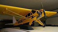 Click image for larger version

Name:	Cub w-Wing Struts Close.jpg
Views:	91
Size:	95.9 KB
ID:	1938373