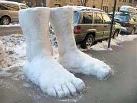 Click image for larger version

Name:	two feet of snow.jpg
Views:	86
Size:	11.9 KB
ID:	1970220