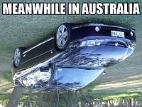 Click image for larger version

Name:	meanwhile-in-australia.jpg
Views:	24
Size:	64.3 KB
ID:	1980178