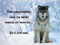 Click image for larger version

Name:	wolf-at-groundhog.jpg
Views:	365
Size:	77.8 KB
ID:	1985201