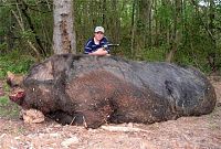 Click image for larger version

Name:	hogzilla2.jpg
Views:	107
Size:	40.2 KB
ID:	2012489