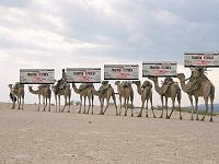 Click image for larger version

Name:	camel train.jpg
Views:	253
Size:	20.8 KB
ID:	2030173