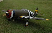 Click image for larger version

Name:	P-47 L front.jpg
Views:	672
Size:	432.9 KB
ID:	2035493