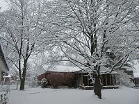 Click image for larger version

Name:	winter01.JPG
Views:	569
Size:	126.3 KB
ID:	2048094
