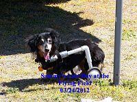 Click image for larger version

Name:	Sammy Flying Field.jpg
Views:	219
Size:	1.14 MB
ID:	2057327