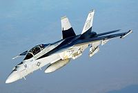 Click image for larger version

Name:	fa-18_hornet_vfa-41.jpg
Views:	144
Size:	44.6 KB
ID:	2065292