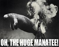 Click image for larger version

Name:	ohthehugemanatee.jpg
Views:	69
Size:	39.2 KB
ID:	2070407