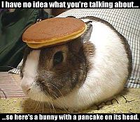 Click image for larger version

Name:	bunnypancake.jpg
Views:	52
Size:	47.5 KB
ID:	2072168