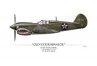 Click image for larger version

Name:	old-exterminator-p-40-warhawk-white-background-craig-tinder.jpg
Views:	57
Size:	37.8 KB
ID:	2078069