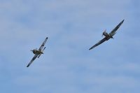Click image for larger version

Name:	WOTR Spit and FW-190.JPG
Views:	61
Size:	31.2 KB
ID:	2078486