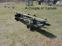 Click image for larger version

Name:	camel10.jpg
Views:	219
Size:	93.2 KB
ID:	2099073