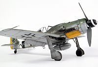 Click image for larger version

Name:	fw190d9black1cw_12.jpg
Views:	99
Size:	46.7 KB
ID:	2133827