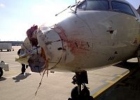 Click image for larger version

Name:	atlantic_southeast_delta_birdstrike.jpg
Views:	291
Size:	110.5 KB
ID:	2139018