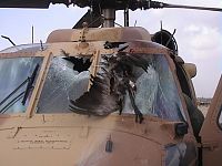 Click image for larger version

Name:	IAF_UH-60_after_birds_strike_outside.jpg
Views:	198
Size:	79.3 KB
ID:	2139022