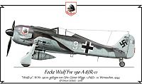 Click image for larger version

Name:	fw190_migge.jpg
Views:	1052
Size:	55.3 KB
ID:	2151598