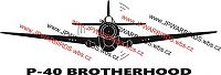 Click image for larger version

Name:	P-40 Brotherhood.jpg
Views:	70
Size:	1.77 MB
ID:	2161275