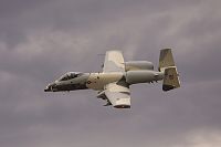 Click image for larger version

Name:	Warthog7_sm.jpg
Views:	89
Size:	913.3 KB
ID:	2182457