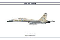 Click image for larger version

Name:	f495_su27_argentina_dev_by_ws_clave-d6ptpmi.jpg
Views:	2909
Size:	14.7 KB
ID:	2192004