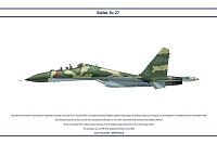 Click image for larger version

Name:	su27_angola_3_dev_by_ws_clave-d9bsy2f.jpg
Views:	2859
Size:	18.0 KB
ID:	2192008