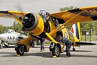 Click image for larger version

Name:	lysander002.jpg
Views:	98
Size:	48.4 KB
ID:	2225021