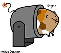 Click image for larger version

Name:	guinea-pig-cannon.jpg
Views:	24
Size:	44.8 KB
ID:	2229281