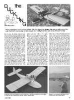 Duckling_Article G-Mark .030.pdf.pdf