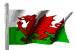 Welshguytitch's Avatar