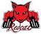 RedcatRacing's Avatar